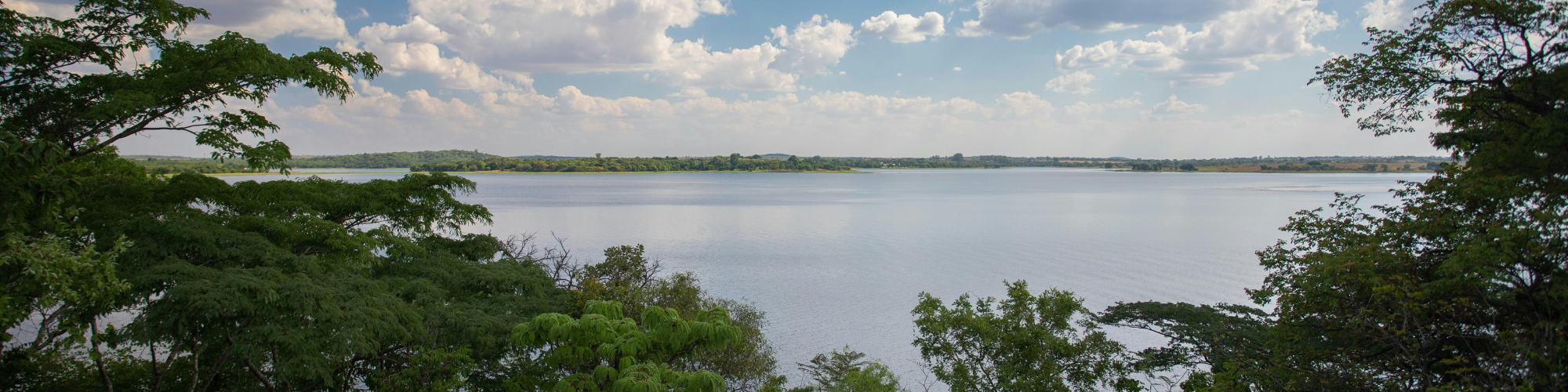 A scenic view of a lake with a clear blue sky above. The water is calm, surrounded by lush green trees on the shore. Fluffy clouds are scattered across the sky, enhancing the peaceful setting.